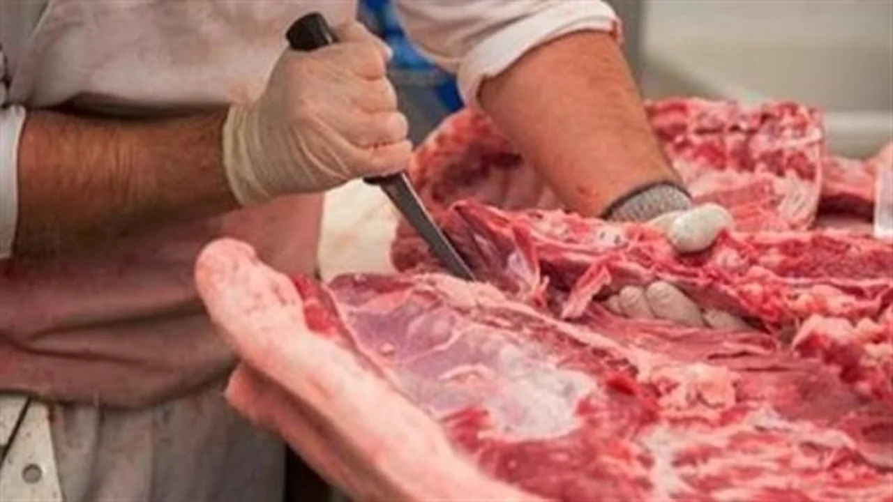 أسعار اللحوم الحمراء.. تعرف على قائمة وطنية بمنافذ العيد الكبير